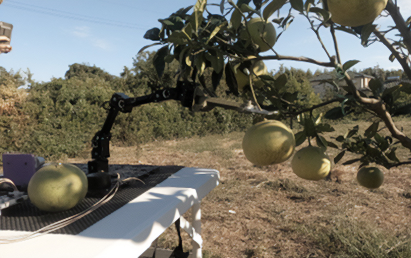 スマート農業向けロボット開発（AIを活用して、農作業を自動的に実行）