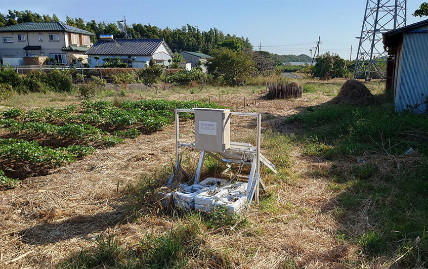 浜松市内の農園(写真)